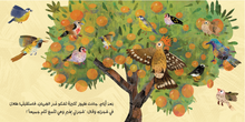 Load image into Gallery viewer, Talal & The Land of Oranges