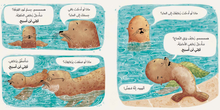 Load image into Gallery viewer, Sea Lion Won't Swim!